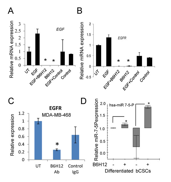 B6H12 suppresses EGF and EGFR mRNA expression in bCSCs.