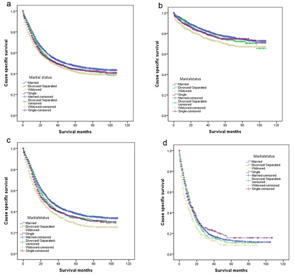 Survival curves in gastric patients according to marital status.