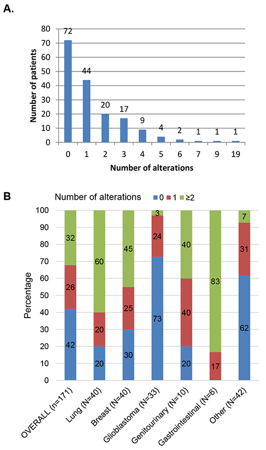 Description of the number of alterations identified in 171 patients.