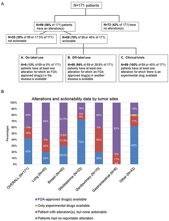 Analysis of actionability in 171 patients with diverse cancers.