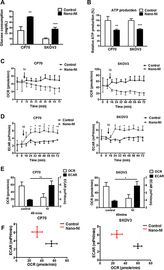 Nano-NI changes the ovarian cancer metabolic phenotype and prompts a metabolic shift.