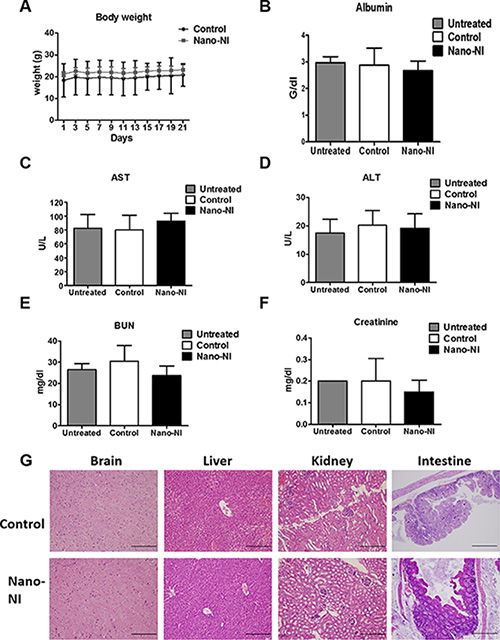 Toxicity analysis in mice treated with nano-NI.