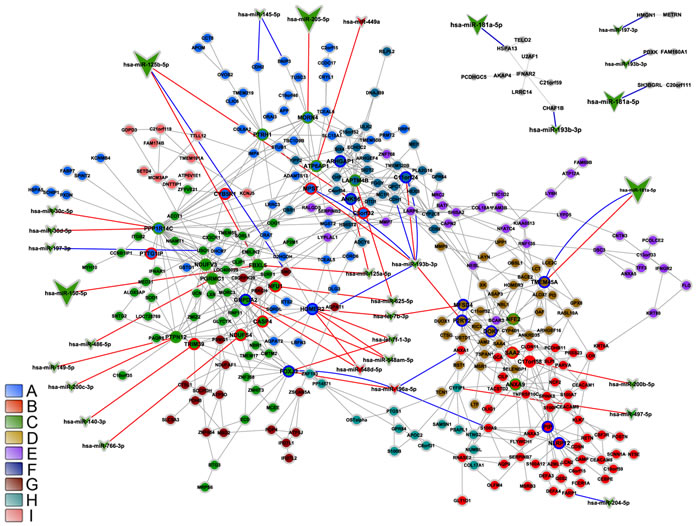 Integrative network analysis for DS-DE network.
