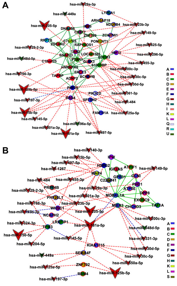 Integrative network analysis for CO subnetworks-miRNA.
