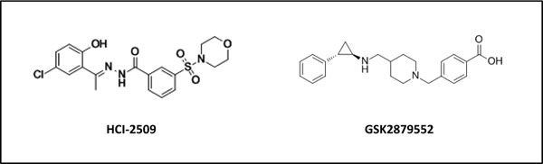 Chemical structure of HCI-2509 and GSK-2879552, reversible and irreversible inhibitors of LSD1 respectively.