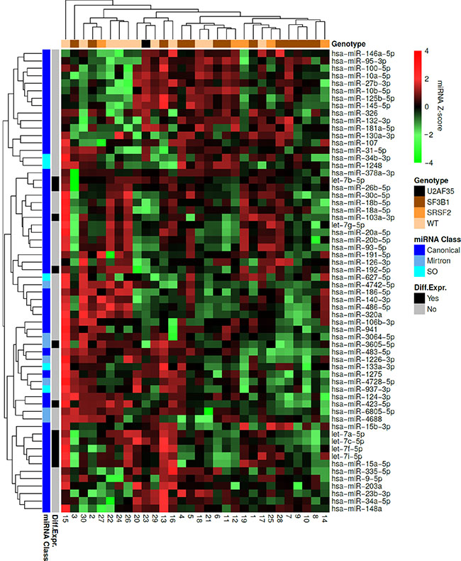 Hierarchical clustering of the MDS patient samples and miRNAs.