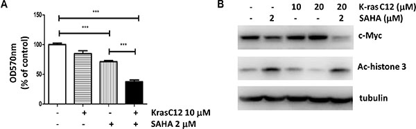 Inhibition of K-ras sensitizes cancer cells to SAHA treatment.