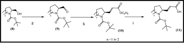 Scheme 2: General synthetic approach to the R3 substituent group.