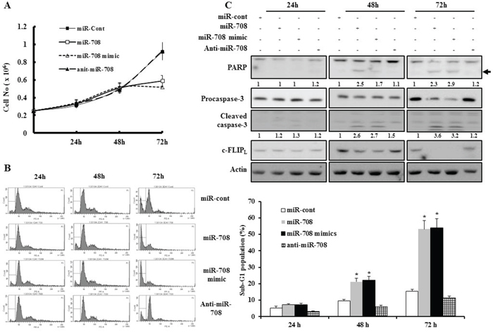 MiR-708 inhibits renal cancer cell proliferation and promotes apoptosis.