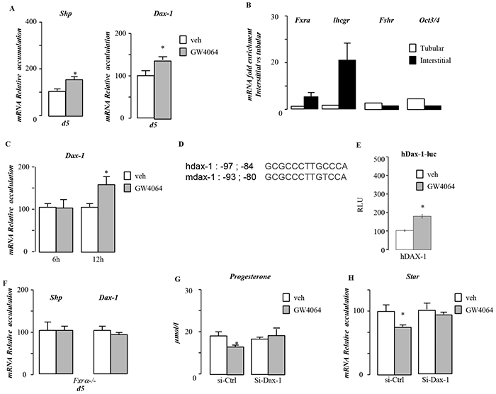 Dax-1 is a target gene of FXR&#x03B1;.