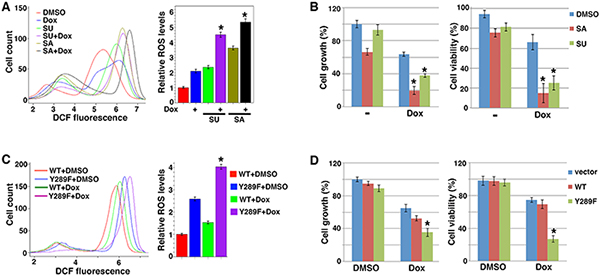 Blocking Src&#x2019;s metabolic effect sensitizes cancer cells to pro-oxidant chemotherapy.