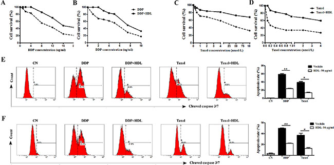 HDL increases the chemoresistance of NPC cells.