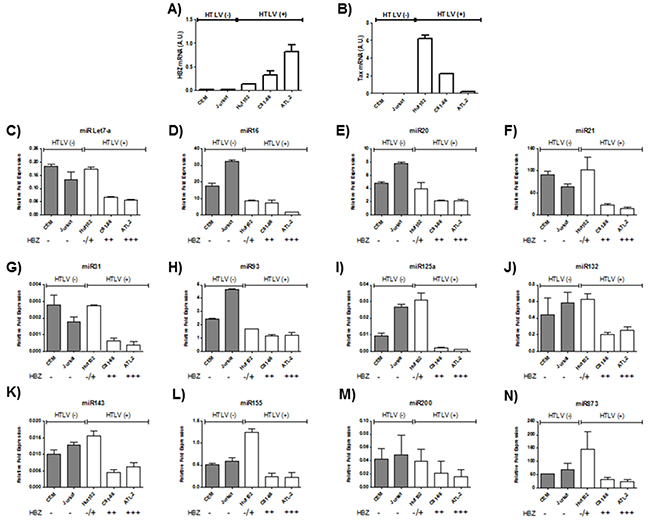 Decreased miRNA levels in HTLV-1 infected cells lines.