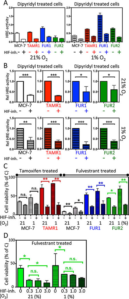 Effect of the HIF-inhibitor FM19G11 on HIF-transcriptional activity and response to antiestrogen treatment in MCF-7 and antiestrogen resistant breast cancer cells.