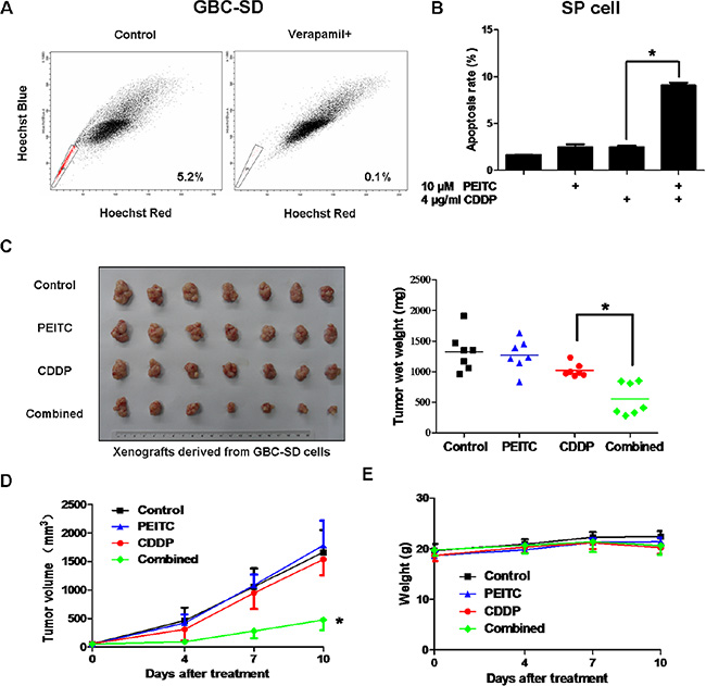 PEITC-CDDP co-treatment sensitizes SP cells and inhibits xenograft tumor growth without obvious toxic effects.