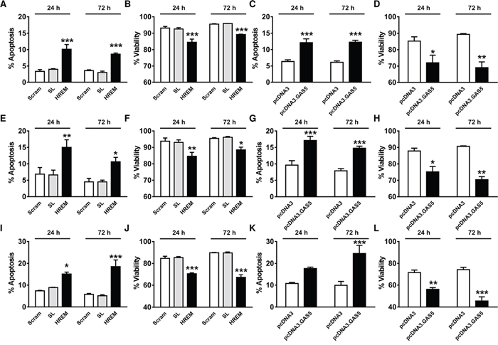 Effect of the GAS5 HREM DNA oligonucleotide on the basal survival of breast cancer cells.