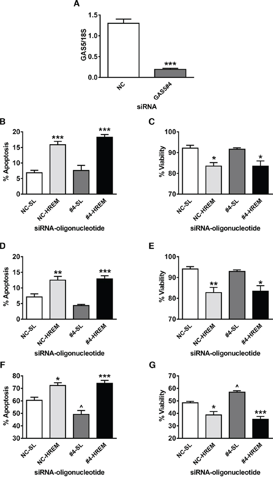 Effect of the GAS5 HREM DNA oligonucleotide on basal and UV-C-induced cell death after silencing of endogenous GAS5 expression in MCF7 cells.