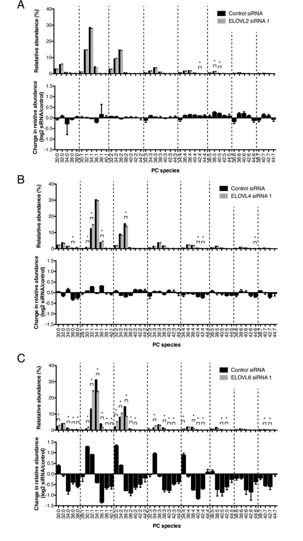 Effect of knockdown of ELOVL2, 4 and 6 on acyl chain elongation in 2427PT lung SCC cells.