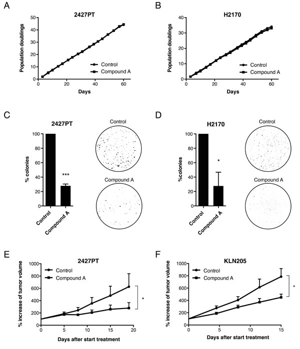 Effect of ELOVL6 inhibition on tumor growth.