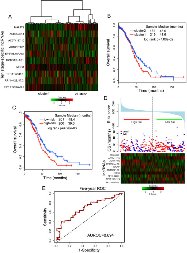 Prognostic value of ten-lncRNA signature for assessing clinical outcome of ovarian cancer.