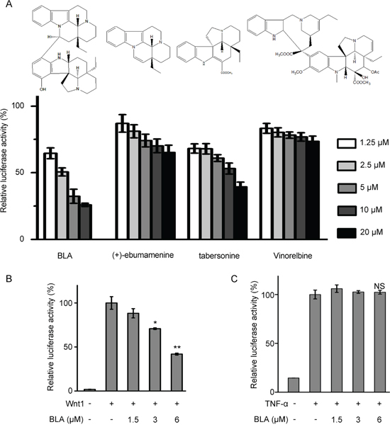 Bisleuconothine A is a potent and selective inhibitor of the canonical Wnt pathway.