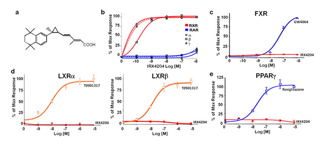 IRX4204 selectively activates RXRs.
