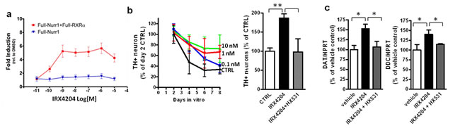 IRX4204 activates Nurr1 and improves DA neuron survival in primary VMB culture.