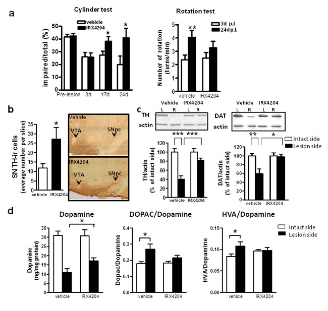 Oral administration of IRX4204 improves motor asymmetry and dopamine neuron loss in a rat model of PD.