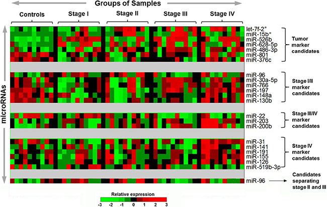 Potential plasma microRNA candidates selected from the TaqMan microarrays with 754 human miRNAs in the discovery study.