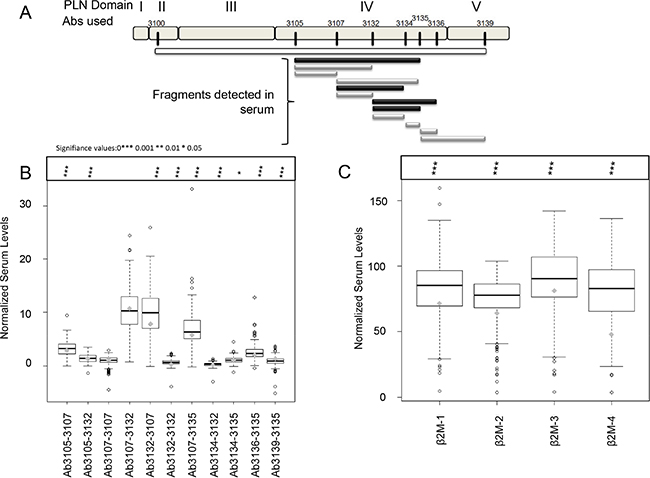 Sandwich ELISA detection of perlecan and &#x03B2;2-microglobulin (&#x03B2;2M) in serum.