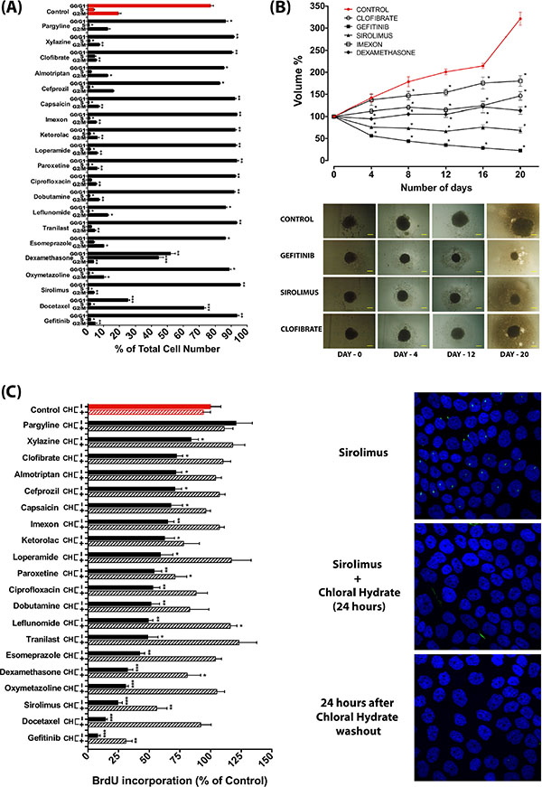 Anti-proliferative effect of ciliogenic compounds and involvement of the primary cilium.