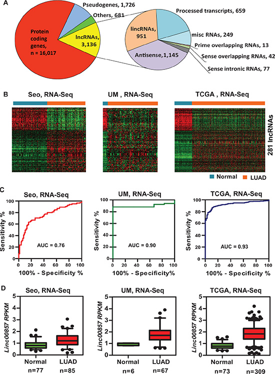 Differentially-expressed lncRNAs including LINC00857 in lung AD and normal lung tissues.