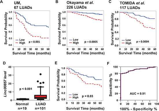 LINC00857 was increased and significantly associated with poor patient survival in lung AD.