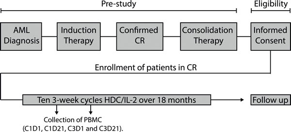 Overview of the Re:Mission phase IV trial.