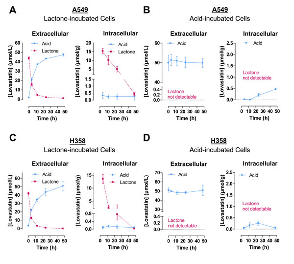 Time-course of extracellular and intracellular concentrations of lovastatin lactone and acid following addition of either lovastatin lactone or lovastatin acid to A549 or H358 cells.