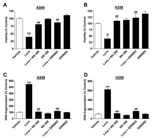 Impact of NS-398 and GW9662 on lovastatin lactone-induced apoptotic cell death.