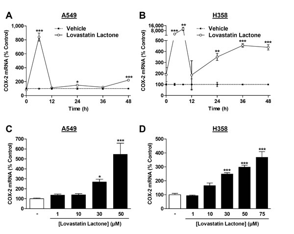 Effect of lovastatin lactone on COX-2 mRNA expression in A549 and H358 cells.