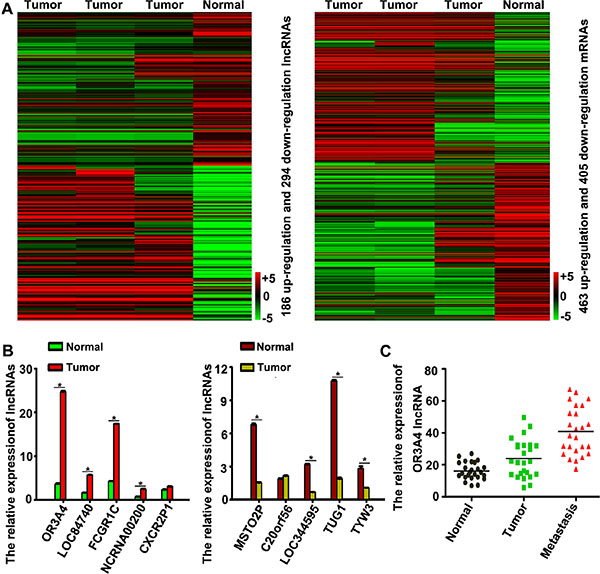Hierarchical clustering of lncRNA expression in gastric cancer tissues and normal gastric tissue.