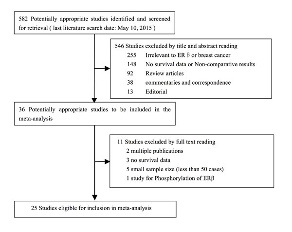 Flow diagram of studies identified, included, and excluded.