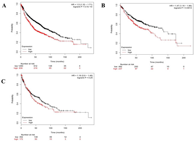 The association of OLA1 mRNA expression with overall survival in patients with lung cancer.