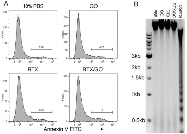 Non-apoptotic nature of RTX/GO-induced cell death: Raji cells were cultured overnight with the indicated treatment, stained with apoptotic marker Annexin V, and analyzed by flow cytometry.