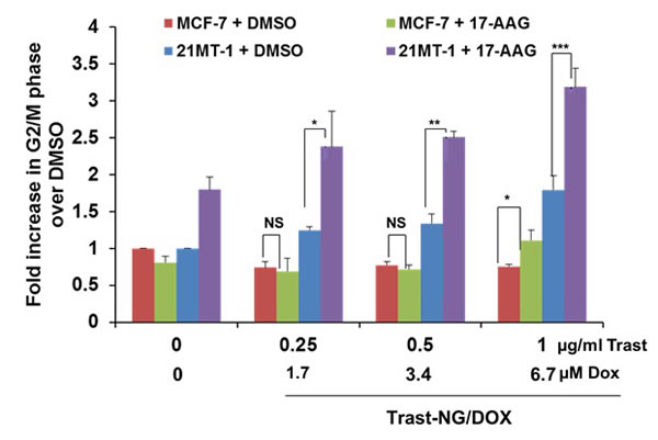 HSP90 inhibition potentiates the effect of Trast-NG/DOX on ErbB2-expressing breast cancer cells.