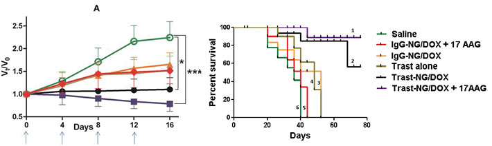 Figure 5: