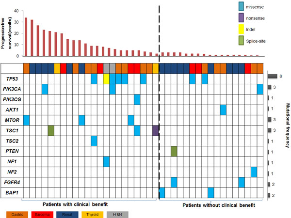 Landscape genomic profile of patients is seen.