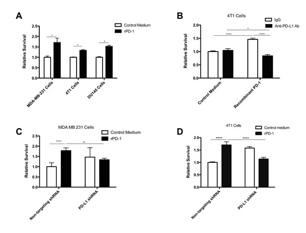 PD-1/PD-L1 interaction results in increased resistance to doxorubicin and docetaxel.