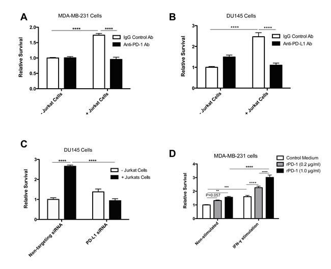 Jurkat T cells increase PD-1/PD-L1-mediated drug resistance in tumor cells.