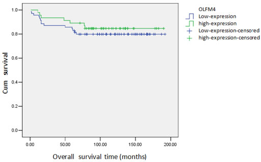 Cumulative survival curve of patients with ovarian serous adenocarcinoma and expression of OLFM4.