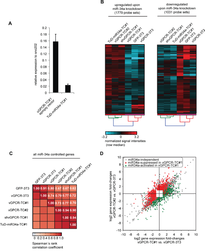 Identification of miR-34a-regulated genes in vGPCR-TC#1 cells by using a Tough Decoy RNA-mediated knockdown approach.