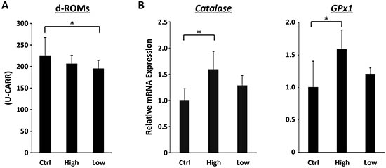 Effects of SA on oxidative stress in the experimental mice.