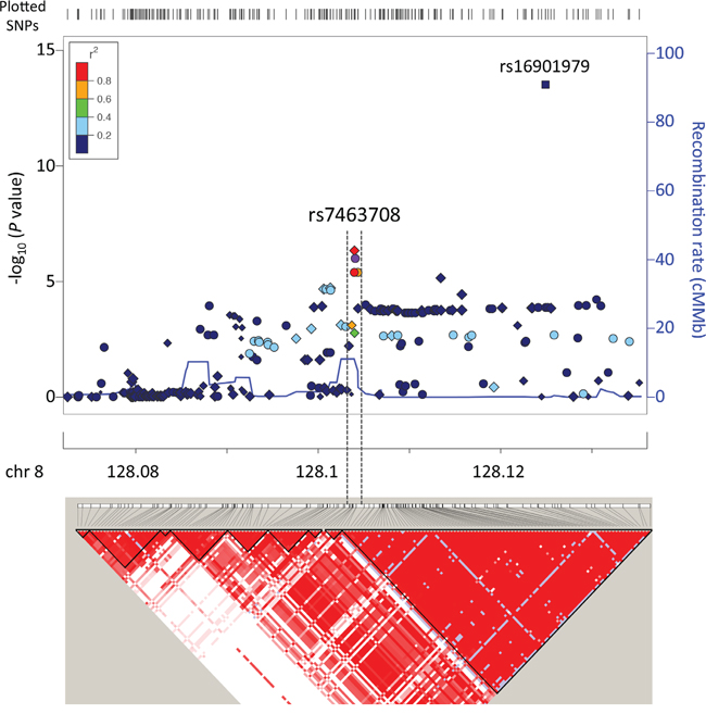 Regional association plot and LD map around SNP rs7463708.